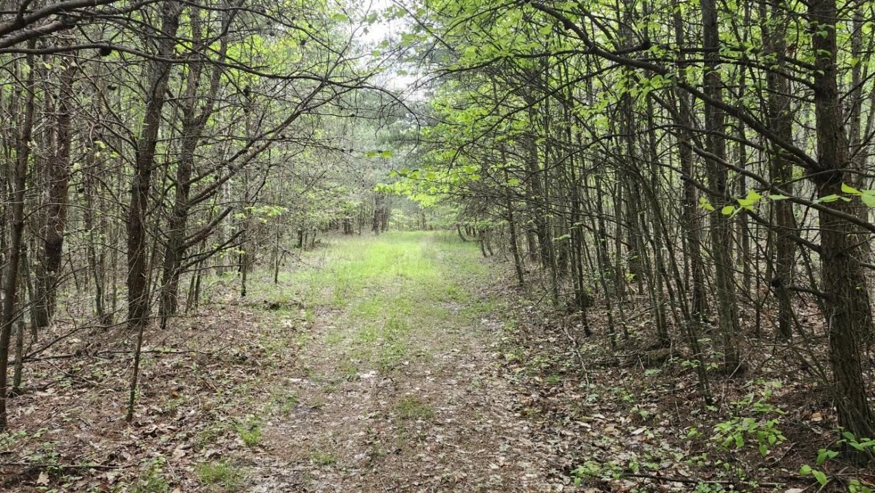 0 Old Holy Water Road, Tracy City, 田纳西州 37387, 美国