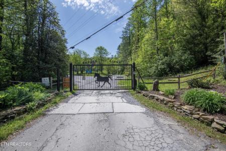 1820 Oakwood Road Rd, Walland, Tennessee 37886, USA