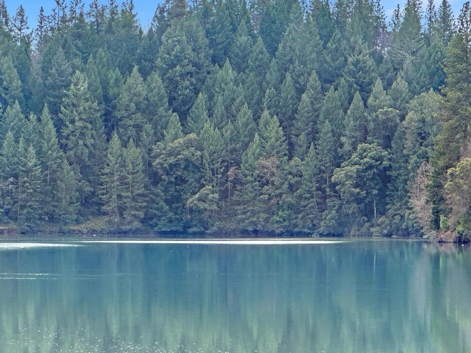 17871 Rollins View Drive, Grass Valley, California 95945