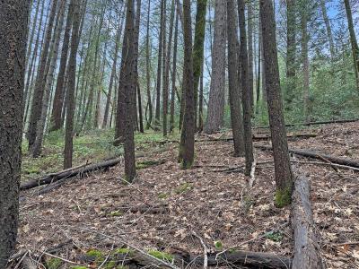 17871 Rollins View Drive, Grass Valley, California 95945