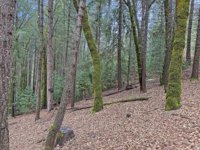17871 Rollins View Drive, Grass Valley, California 95945
