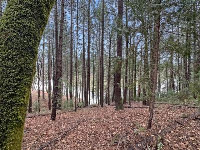 17871 Rollins View Drive, Grass Valley, California 95945