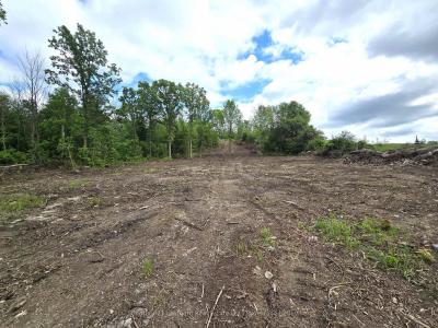 0 DEVILS VALLEY ROAD, Trent Hills, Ontario K0L 1L0, Canada