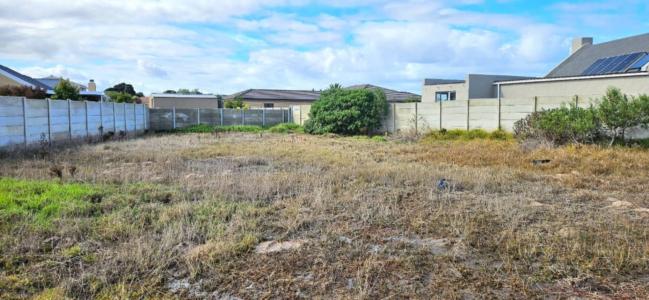 Gansbaai, Western Cape, South Africa