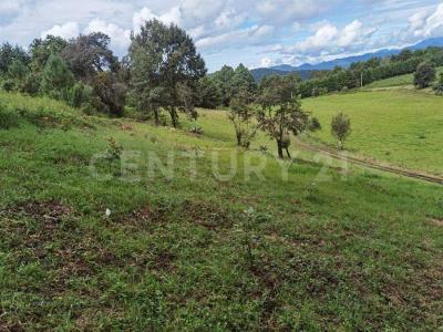 EL CASTELLANO, SAN MATEO ACATITLAN S/N,, Valle De Bravo, Meksyk (stan) 51200, Meksyk