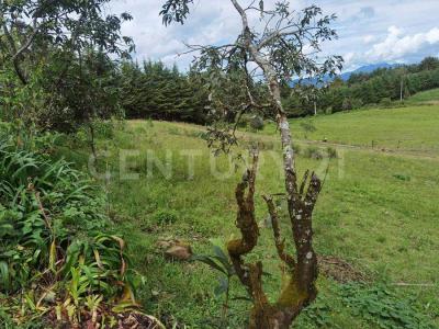EL CASTELLANO, SAN MATEO ACATITLAN S/N,, Valle De Bravo, Meksyk (stan) 51200, Meksyk