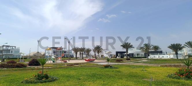 Condominio Las Velas , Pisco, Ica 00001, Peru