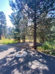 3955 Valley View Drive 18, New Meadows, Idaho 83654, Estados Unidos