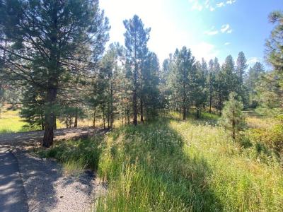3955 Valley View Drive 18, New Meadows, Idaho 83654, Estados Unidos