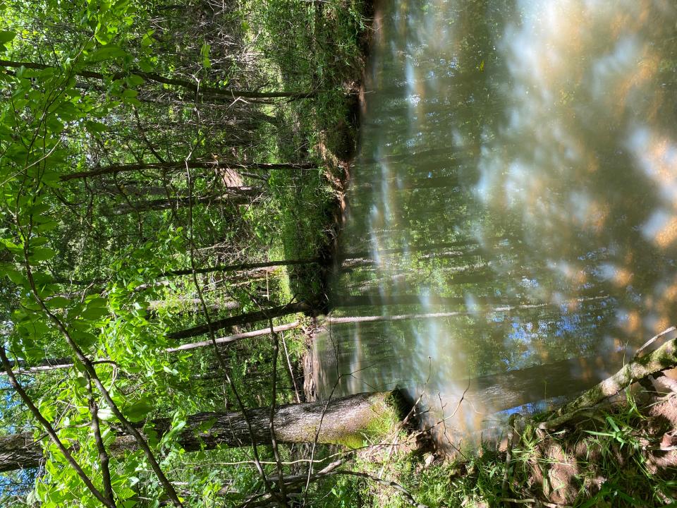 8.42 acres off Hwy 164, Lamar, 阿肯色州 72846, 美国