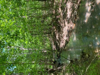 8.42 acres off Hwy 164, Lamar, 阿肯色州 72846, 美国
