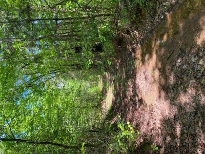 8.42 acres off Hwy 164, Lamar, 阿肯色州 72846, 美国