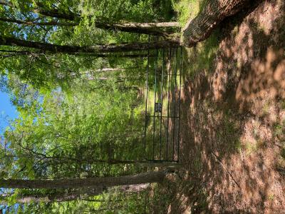 8.42 acres off Hwy 164, Lamar, 阿肯色州 72846, 美国