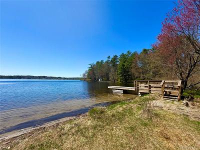236 Lakeview Drive Road, Eldred, New York 12743, USA