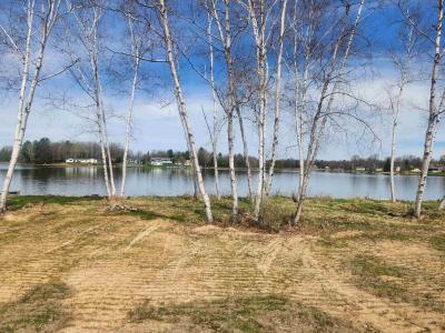 Ridgeway Lot #89, Lake, Michigan 48632, USA