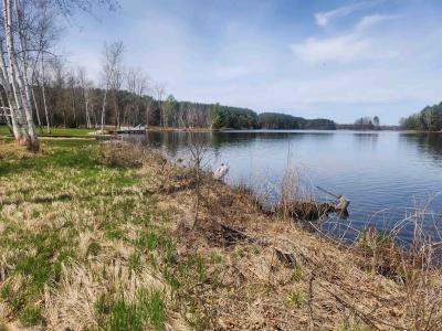Ridgeway Lot #89, Lake, Michigan 48632, USA