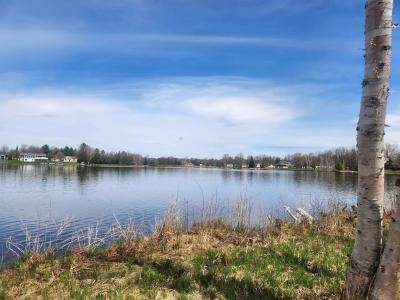 Ridgeway Lot #89, Lake, ميشيغان 48632, الولايات المتحدة