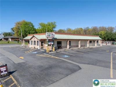 232 W Moorestown Road, Bushkill Twp, Pennsylvania 18091, USA