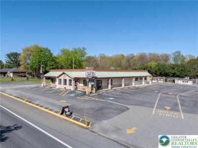 232 W Moorestown Road, Bushkill Twp, 賓夕法尼亞州 18091, 美國