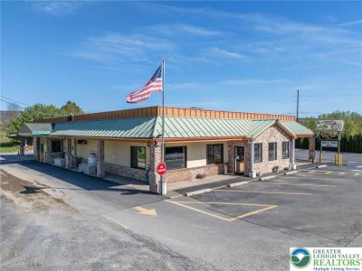 232 W Moorestown Road, Bushkill Twp, 賓夕法尼亞州 18091, 美國