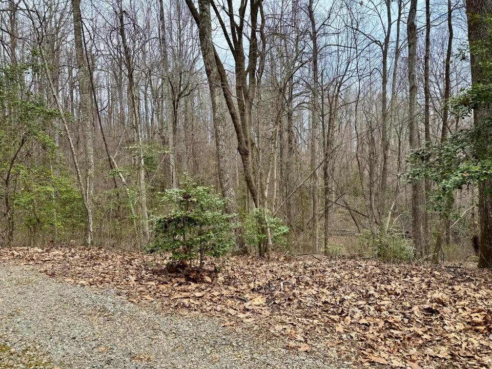 000 Orchard Mountain Road Lot 5, Saluda, North Carolina 28773