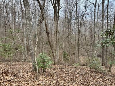 000 Orchard Mountain Road Lot 5, Saluda, North Carolina 28773