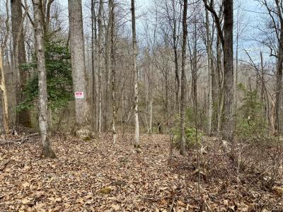 000 Orchard Mountain Road Lot 5, Saluda, North Carolina 28773