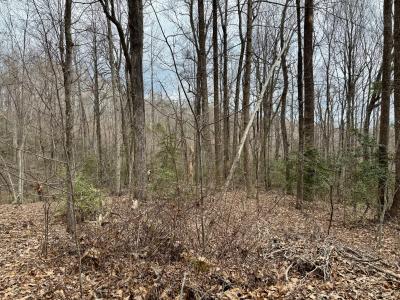 000 Orchard Mountain Road Lot 5, Saluda, North Carolina 28773