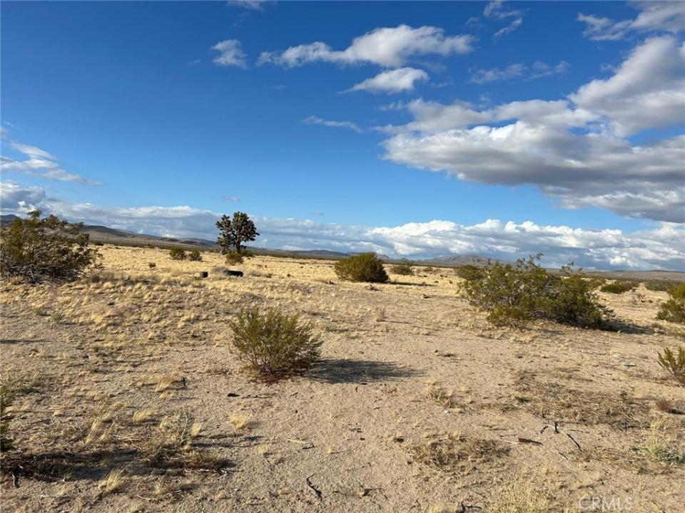 0 Lucerne Valley Cut Off, Lucerne Valley, קליפורניה 92356, ארצות הברית של אמריקה