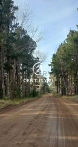 BARRIO BRINZLES SERENA 1 NRO 399 1, Pinamar, Buenos Aires Costa Atlántica 00001, Argentina