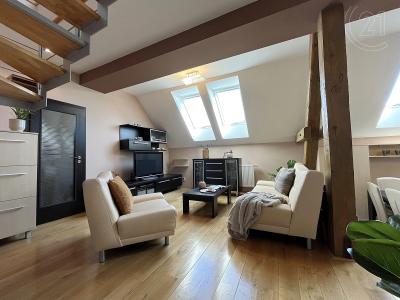 15, Botanická, Brno, Brno-město 60200, チェコ共和国