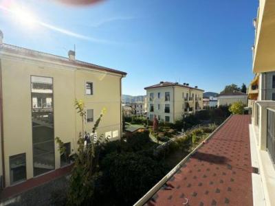 Sauk i Ri, Tirana, Albania