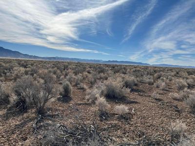 Lot 5, Blk E, Beryl, Utah 84714, Estados Unidos
