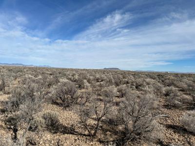 Lot 5, Blk E, Beryl, Utah 84714, Estados Unidos