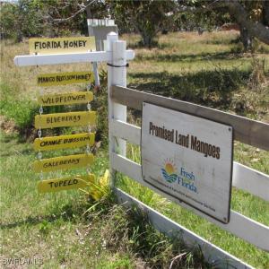 7127 Pineland Road, Bokeelia, Florida 33922, USA