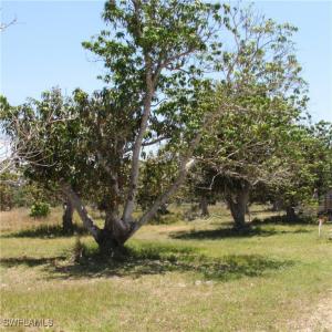 7127 Pineland Road, Bokeelia, Florida 33922, USA