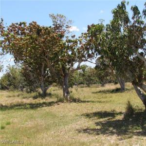 7127 Pineland Road, Bokeelia, Florida 33922, USA