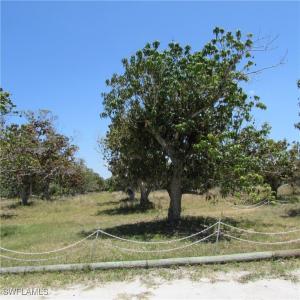 7127 Pineland Road, Bokeelia, Florida 33922, USA