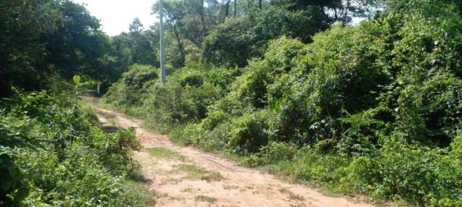 Calle Sin Nombre, Estanzuela , Areguá, Central 00001, Paragwaj