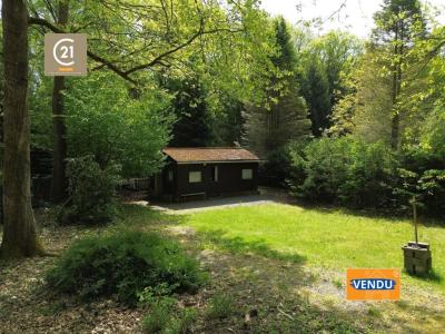 Rue la Forestière 417, Brûly-de-pesche, Belgique