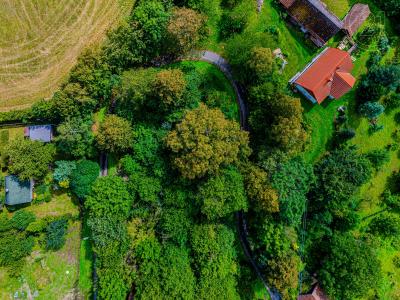 Vilémov, Havlíčkův Brod 58282, República Checa