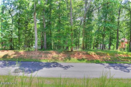 Lot 55 E Shore Drive, Rockwood, Tennessee 37854, USA