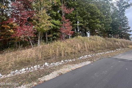 Lot 55 E Shore Drive, Rockwood, Tennessee 37854, USA