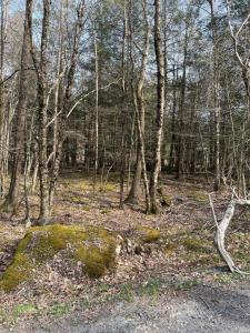 Lot 813 White Pine Drive, Pocono Lake, Pennsylvania 18347, Estados Unidos