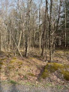 Lot 813 White Pine Drive, Pocono Lake, Pennsylvania 18347, Estados Unidos