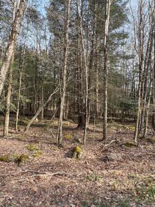 Lot 814 White Pine Drive, Pocono Lake, Pennsylvania 18347, Estados Unidos