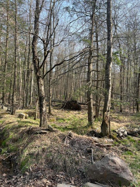 Lot 720 Elk Run Road, Pocono Lake, Pennsylvanie 18347, États-Unis
