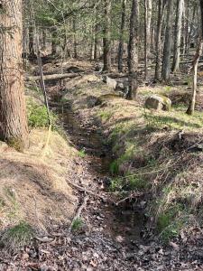 Lot 720 Elk Run Road, Pocono Lake, Pennsylvanie 18347, États-Unis