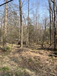Lot 720 Elk Run Road, Pocono Lake, Pennsylvanie 18347, États-Unis