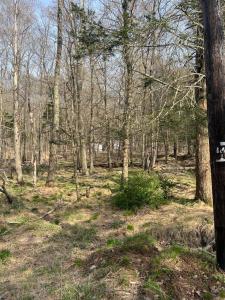Lot 719 Elk Run Road, Tobyhanna, Pennsylvania 18347, Stati Uniti